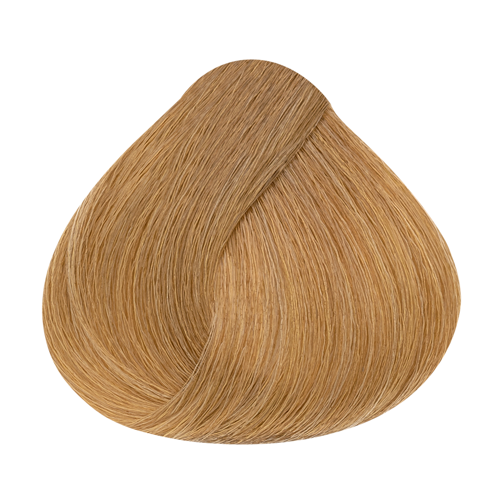 9.3 Louro Claríssimo Dourado